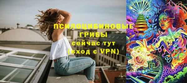 мяу мяу мука Богданович